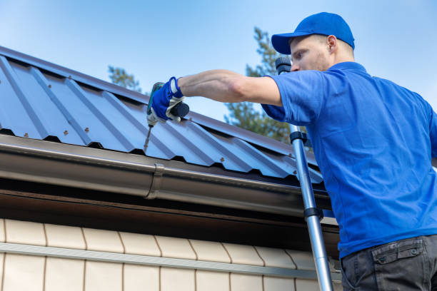 Best Roof Waterproofing  in Steger, IL