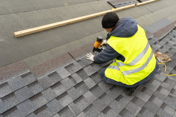 Best Rubber Roofing (EPDM, TPO)  in Steger, IL
