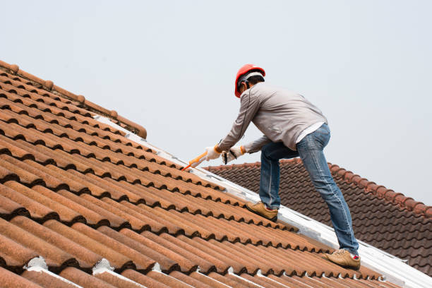 Best Roof Inspection  in Steger, IL