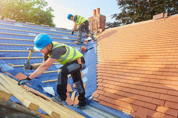Best Roof Coating and Sealing  in Steger, IL