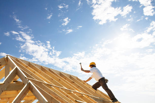 Best Roof Moss and Algae Removal  in Steger, IL